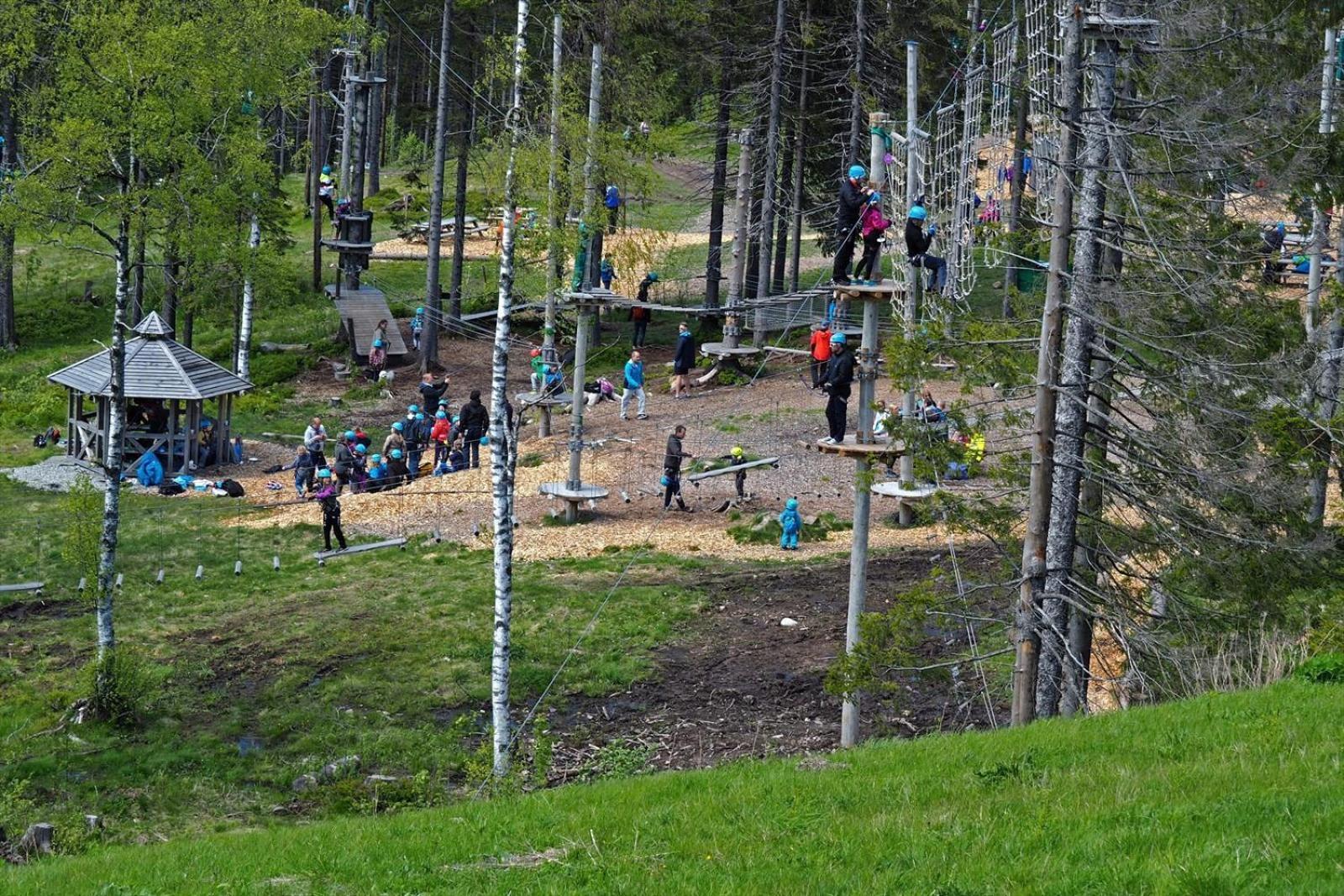 Holmenkollen Forest House Free Parking Leilighet Oslo Eksteriør bilde